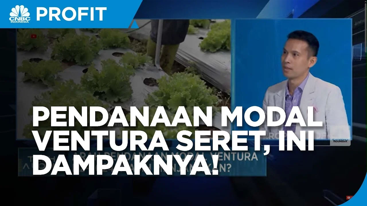 Modal Ventura 2026 Terkontraksi 0,95%, Ini Penyebabnya