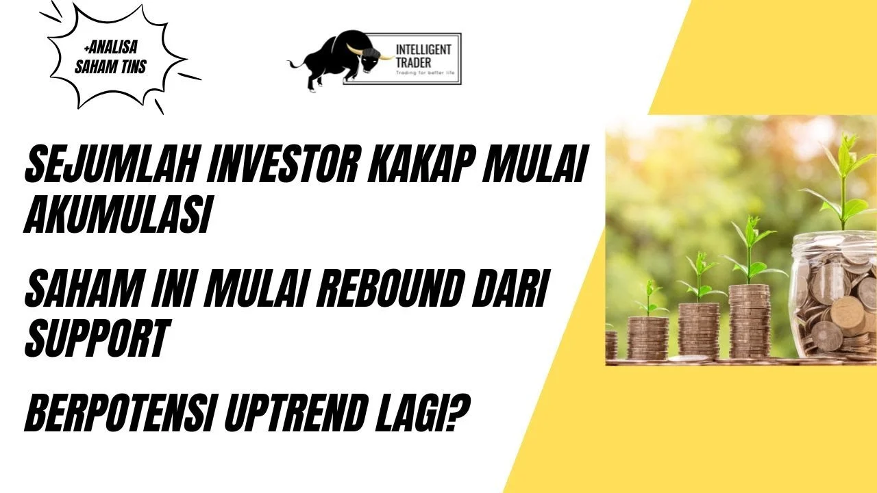 PANI Rebound dari Zona Tekanan, Investor Mulai Masuk?