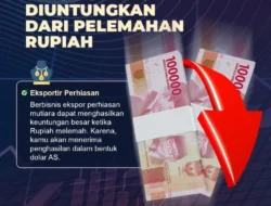 Pelemahan Rupiah Dapat Memberikan Dampak Terhadap Bisnis Reasuransi