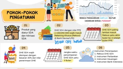 Pemerintah Perketat Kebijakan DHE SDA untuk Kemakmuran Masyarakat