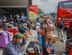 Penjualan OMED Melonjak, Profit Ikut Tebal di Awal 2026