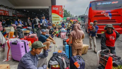 Penjualan OMED Melonjak, Profit Ikut Tebal di Awal 2026