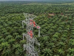 Penuhi Lonjakan Listrik Ekonomi Hijau ASEAN Memerlukan Dana Hingga USD200 Miliar