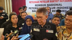 Peternak Ungkap Swasembada Telur, Namun Serapan di MBG Rendah