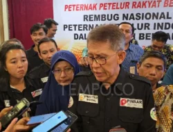 Peternak Ungkap Swasembada Telur, Namun Serapan di MBG Rendah