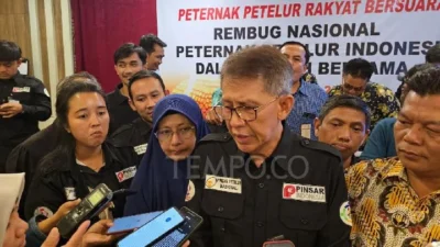 Peternak Ungkap Swasembada Telur, Namun Serapan di MBG Rendah