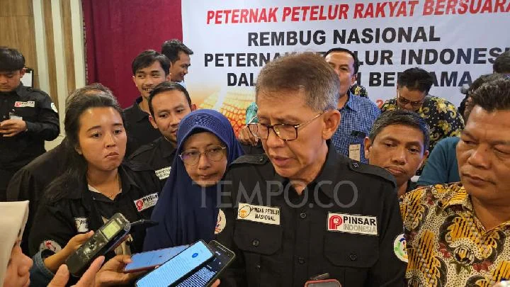 Peternak Ungkap Swasembada Telur, Namun Serapan di MBG Rendah