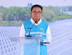 PLN Indonesia Power Ekspansi Energi Surya ke Bangladesh Lewat Proyek 495 MW