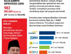 PT DSI Masih Berstatus Perusahaan Swasta Meski Didirikan Danantara