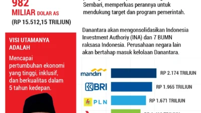 PT DSI Masih Berstatus Perusahaan Swasta Meski Didirikan Danantara