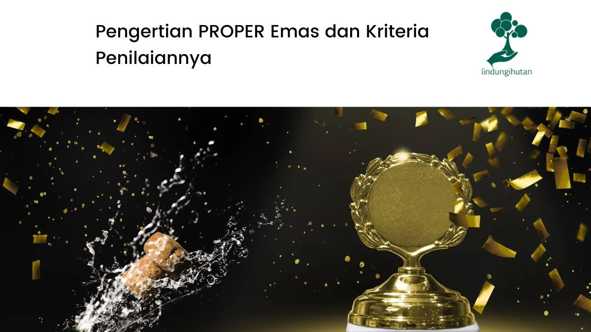 Rapor Merah di Balik PROPER Emas, Mengungkap Borok Ekologis Vale Indonesia