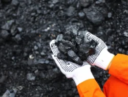 Riset Oxford Ungkap Energi Paling Aman di Dunia, Batu Bara Jadi Pembunuh Utama