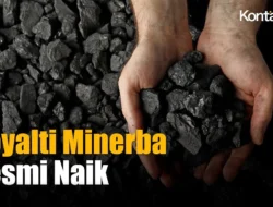 Royalti Minerba Mau Naik, Timah Kena Paling Dalam?