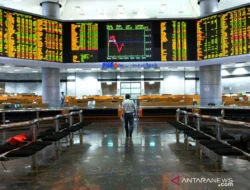 Saham CUAN Terbang 12 Persen, Rebound atau Sekadar Memantul?
