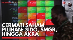 Saham Dividen Mulai Ramai, SMGR, RATU, Hingga ARCI Jadi Sorotan