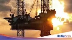 Terungkap! 13 Sumur Minyak Baru Ditemukan di Kawasan Transmigrasi Kaltim, Potensi Energi Mengguncang IKN