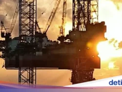 Terungkap! 13 Sumur Minyak Baru Ditemukan di Kawasan Transmigrasi Kaltim, Potensi Energi Mengguncang IKN