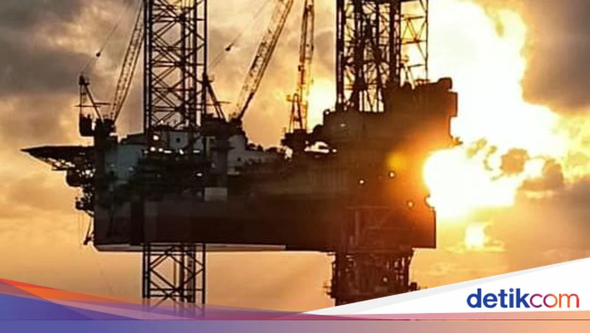 Terungkap! 13 Sumur Minyak Baru Ditemukan di Kawasan Transmigrasi Kaltim, Potensi Energi Mengguncang IKN