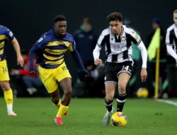 Udinese Siap Menghadapi Parma di Babak Terakhir Serie A