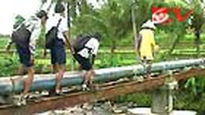 Viral! video siswa Medan Seberangi Sungai Deli Pakai Pipa Air, Geger Netizen