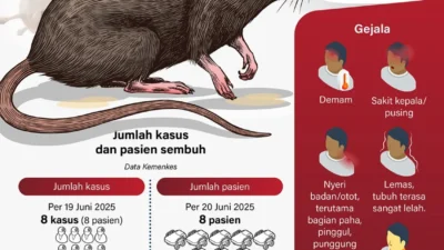 Virus Hanta dan Ebola: Ancaman Baru bagi Kesehatan Global