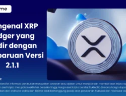XRP Ledger: Masa Depan yang Lebih Terbuka dan Transparan