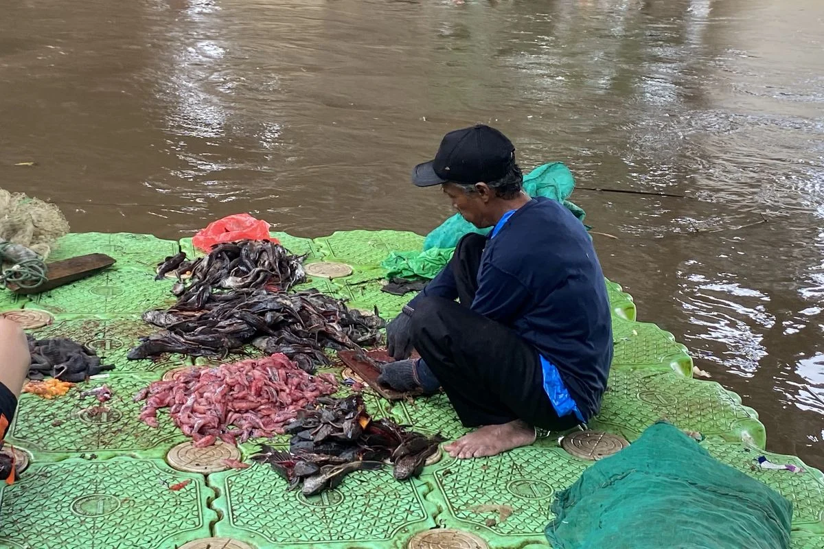 Yogyakarta Mulai Gencarkan Pemberantasan Ikan Sapu-Sapu dengan Mengubahnya menjadi Pupuk Organik