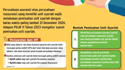 Asuransi yang Spin Off UUS Dengan Mendirikan Perusahaan Baru Berkurang, Ini Kata AASI