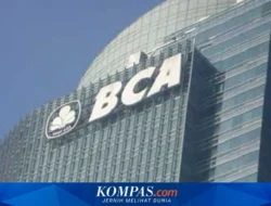 BCA Bagikan Dividen Interim Rp20, Ada Kejutan