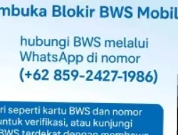 BWS Mobile Terblokir? Bank Woori Saudara Ingatkan Nasabah Hubungi Nomor ini