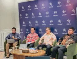 Celios Ungkap Ketimpangan Pajak Digital, DST Dinilai Jadi Solusi