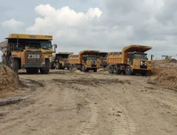 CUAN Bidik Produksi Batu Bara 30 Juta Ton di 2031