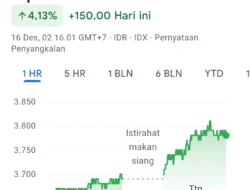 DAAZ Naik 7,60 Persen, Asing Terus Borong: Koleksi atau Jual?