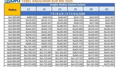 Debitur BRI Multiguna Capai 1,34 Juta, Outstanding Rp 215,4 Triliun per April 2026