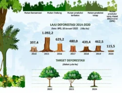 Deforestasi Masih Tinggi, DPR Nilai Regulasi Kehutanan Perlu Dibongkar Ulang