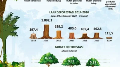Deforestasi Masih Tinggi, DPR Nilai Regulasi Kehutanan Perlu Dibongkar Ulang