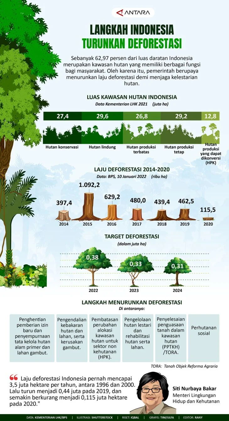 Deforestasi Masih Tinggi, DPR Nilai Regulasi Kehutanan Perlu Dibongkar Ulang