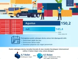 DSI Berpotensi Tekan Transfer Pricing dan Dongkrak Devisa Negara