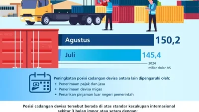 DSI Berpotensi Tekan Transfer Pricing dan Dongkrak Devisa Negara