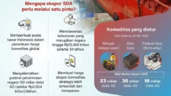 DSI Terapkan Fee Layanan Skema Ekspor SDA Satu Pintu, Berapa Besarannya?