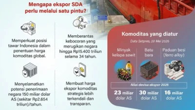 DSI Terapkan Fee Layanan Skema Ekspor SDA Satu Pintu, Berapa Besarannya?