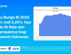 Kenaikan BI Rate dan Dampaknya pada Investasi MSIG Indonesia