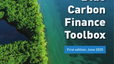 RI Kembangkan Skema Blue Carbon Financing untuk Biayai Konservasi Laut