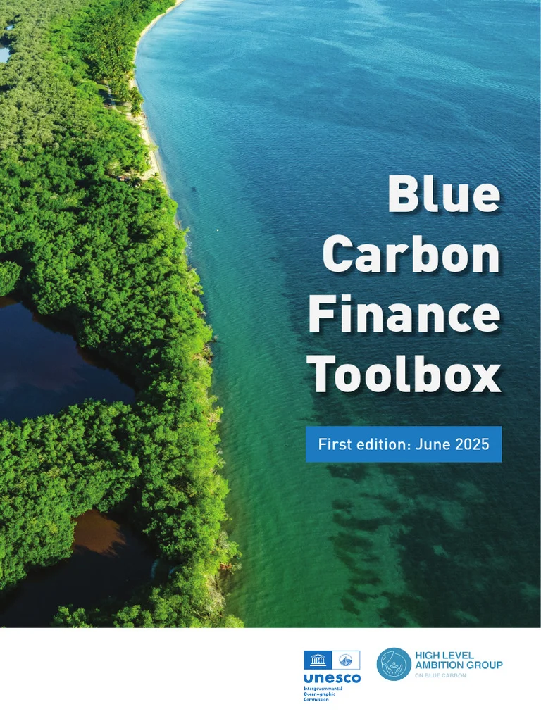 RI Kembangkan Skema Blue Carbon Financing untuk Biayai Konservasi Laut