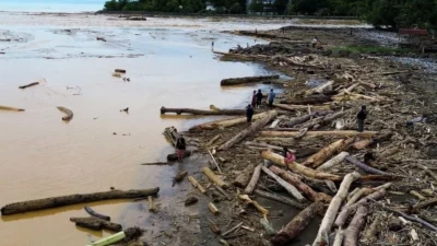 Studi Ungkap Kerusakan Alam Bisa Dongkrak Beban Utang Negara RI
