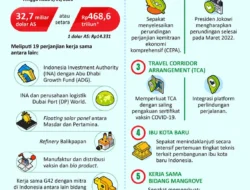 UEA Tambah Komitmen Investasi di RI, Sasar Pangan hingga Infrastruktur