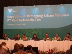 Vale (INCO) Bagi Dividen USD45,6 Juta, 60 Persen dari Laba